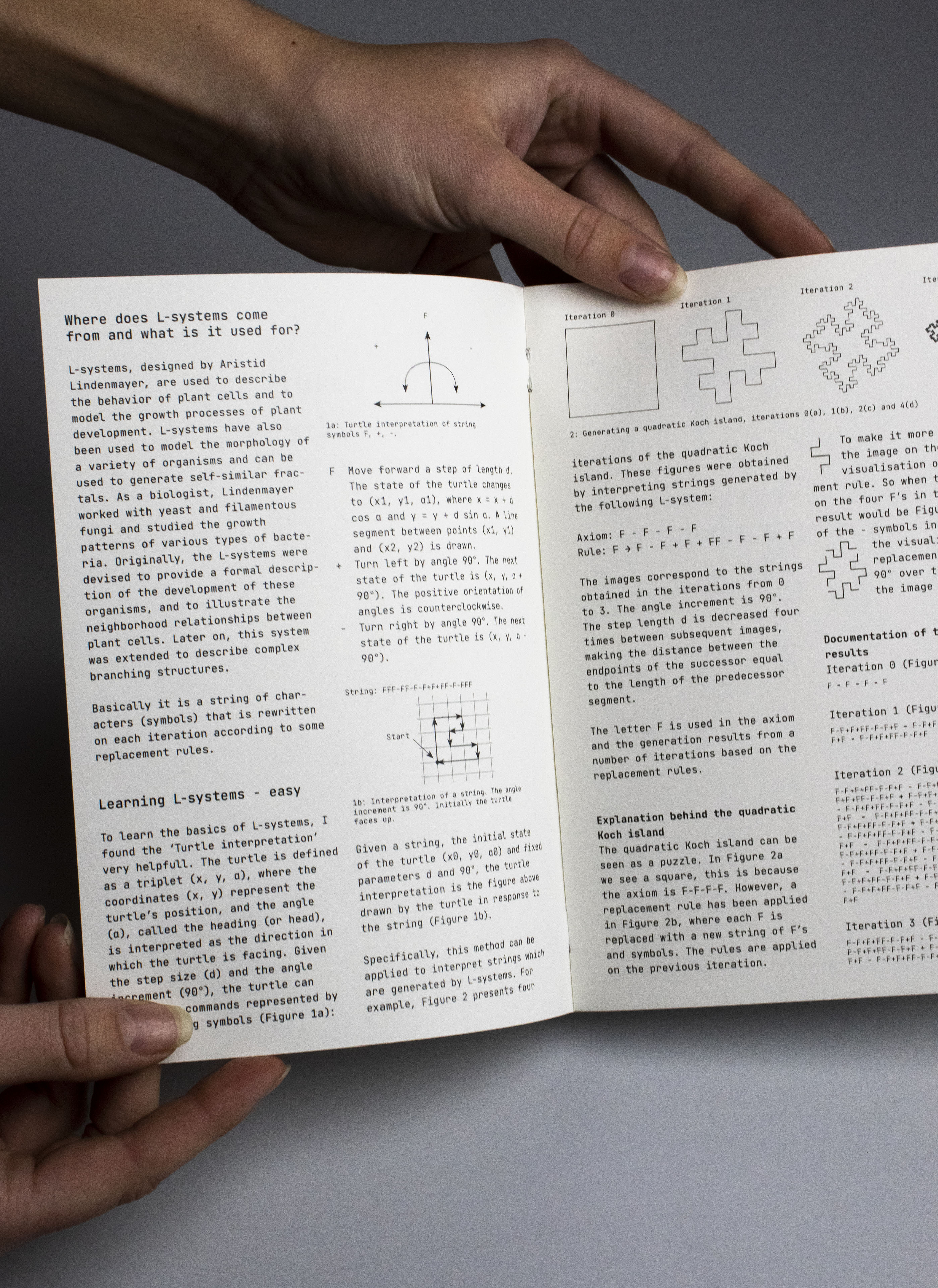 Uitleg pagina van The Beauty of L-systems.